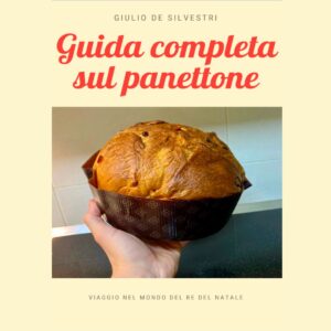 Guida completa sul panettone