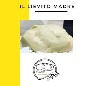 Guida sul lievito madre